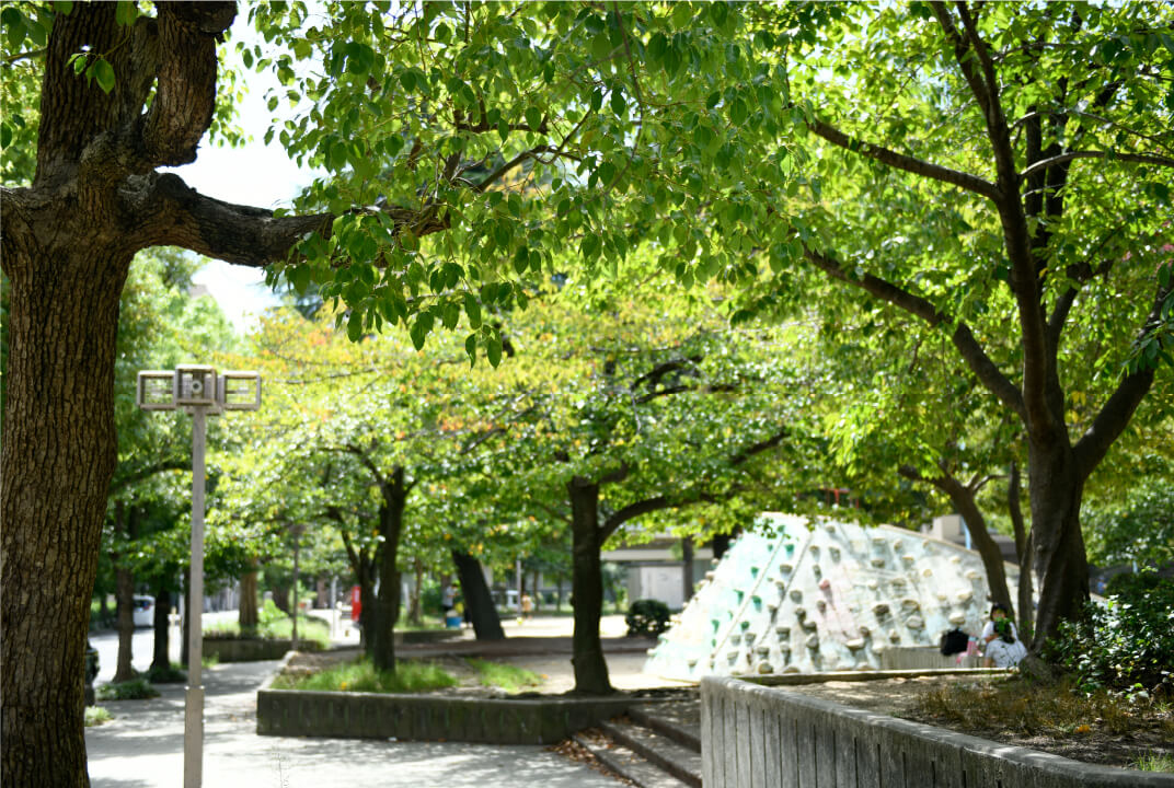 上汐公園 画像